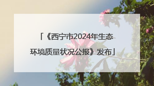 《西宁市2024年生态环境质量状况公报》发布