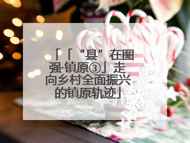 「“县”在图强·镇原③」走向乡村全面振兴的镇原轨迹