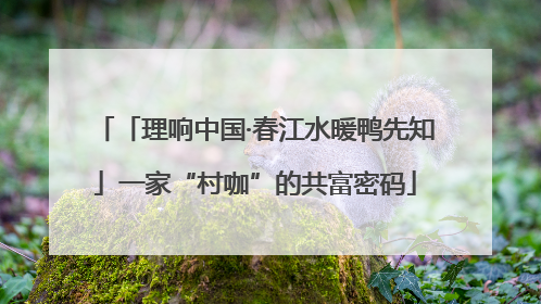 「理响中国·春江水暖鸭先知」一家“村咖”的共富密码