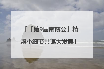 「第9届南博会」精雕小细节共谋大发展