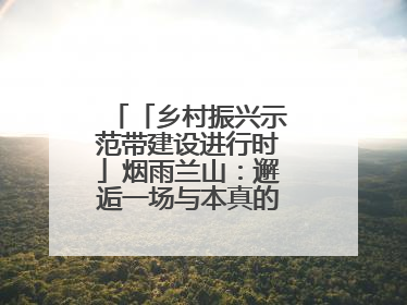 「乡村振兴示范带建设进行时」烟雨兰山：邂逅一场与本真的久别重逢！