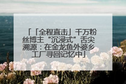 「全程直击」千万粉丝博主“沉浸式”舌尖溯源：在金龙鱼外婆乡工厂寻回记忆中