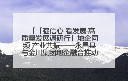 「强信心 看发展·高质量发展调研行」地企同频 产业共振——永昌县与金川集团地企融合推动重大项目建设
