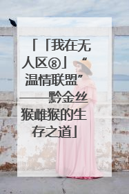 「我在无人区⑧」“温情联盟”——黔金丝猴雌猴的生存之道