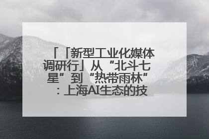 「新型工业化媒体调研行」从“北斗七星”到“热带雨林”：上海AI生态的技术商业共生密码