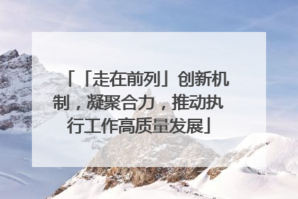 「走在前列」创新机制，凝聚合力，推动执行工作高质量发展