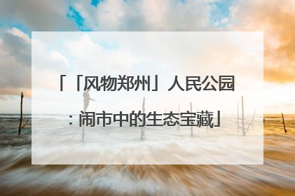 「风物郑州」人民公园：闹市中的生态宝藏