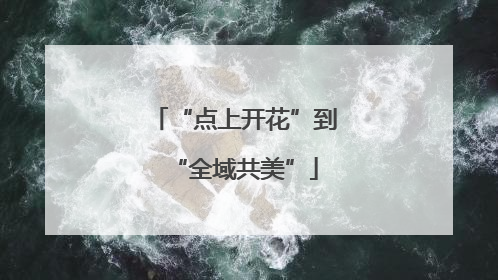 “点上开花”到“全域共美”