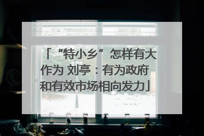 “特小乡”怎样有大作为 刘亭：有为政府和有效市场相向发力
