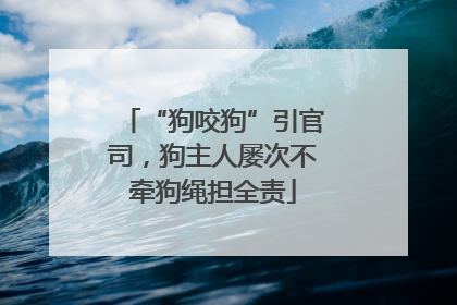 “狗咬狗”引官司，狗主人屡次不牵狗绳担全责