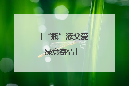 “瓶”添父爱 绿意寄情