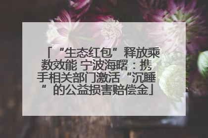 “生态红包”释放乘数效能 宁波海曙：携手相关部门激活“沉睡”的公益损害赔偿金