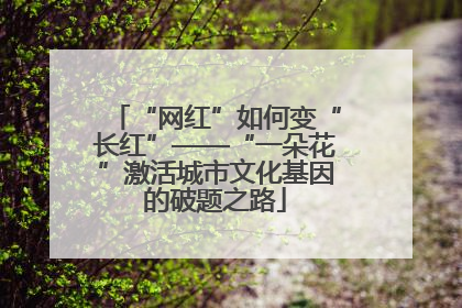 “网红”如何变“长红”——“一朵花”激活城市文化基因的破题之路