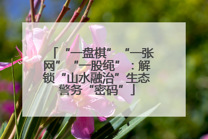 “一盘棋”“一张网”“一股绳”：解锁“山水融治”生态警务“密码”
