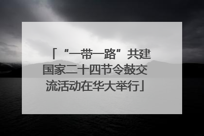 “一带一路”共建国家二十四节令鼓交流活动在华大举行