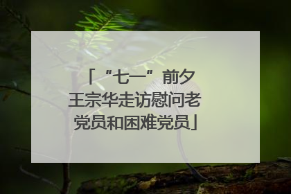 “七一”前夕 王宗华走访慰问老党员和困难党员
