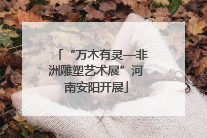 “万木有灵—非洲雕塑艺术展”河南安阳开展