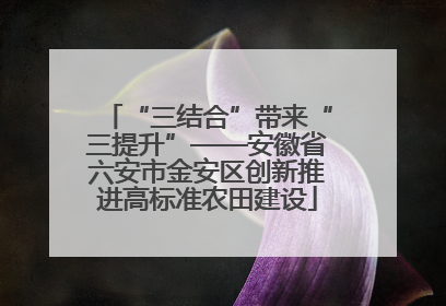 “三结合”带来“三提升”——安徽省六安市金安区创新推进高标准农田建设