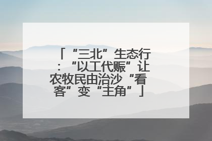 “三北”生态行：“以工代赈”让农牧民由治沙“看客”变“主角”