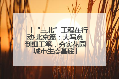 “三北”工程在行动·北京篇：大写意到细工笔，夯实花园城市生态基底