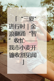 “三夏”进行时｜金浪翻涌“智”收忙——我市小麦开镰收割见闻