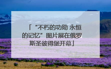 “不朽的功勋 永恒的记忆”图片展在俄罗斯圣彼得堡开幕