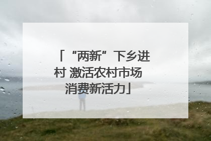 “两新”下乡进村 激活农村市场消费新活力