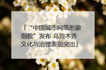 “中国城市网络形象指数”发布 乌鲁木齐文化与治理表现突出