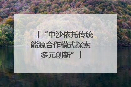 “中沙依托传统能源合作模式探索多元创新”