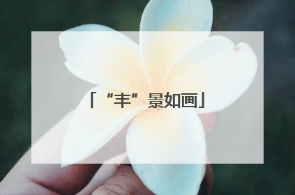 “丰”景如画