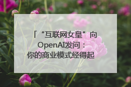 “互联网女皇”向OpenAI发问：你的商业模式经得起价格战考验么？