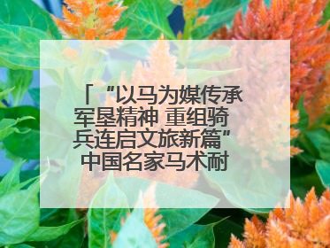 “以马为媒传承军垦精神 重组骑兵连启文旅新篇” 中国名家马术耐力邀请赛（一八五团站）暨重启骑兵连活动正式启动
