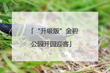 “升级版”金碧公园开园迎客