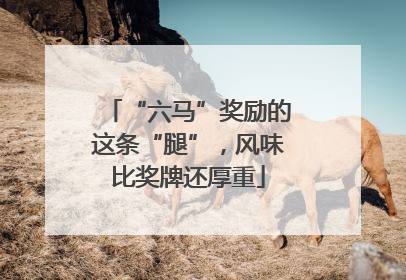 “六马”奖励的这条“腿”，风味比奖牌还厚重