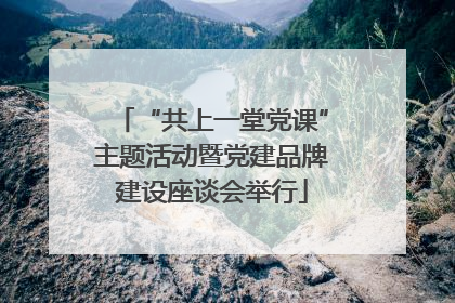 “共上一堂党课”主题活动暨党建品牌建设座谈会举行
