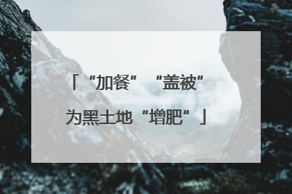 “加餐”“盖被” 为黑土地“增肥”
