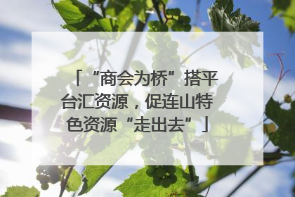 “商会为桥”搭平台汇资源，促连山特色资源“走出去”
