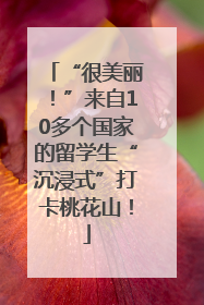 “很美丽！”来自10多个国家的留学生“沉浸式”打卡桃花山！