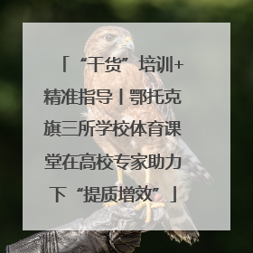 “干货”培训+精准指导丨鄂托克旗三所学校体育课堂在高校专家助力下“提质增效”