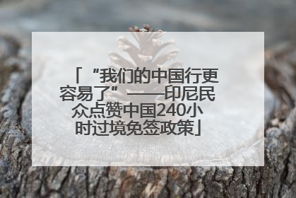 “我们的中国行更容易了”——印尼民众点赞中国240小时过境免签政策