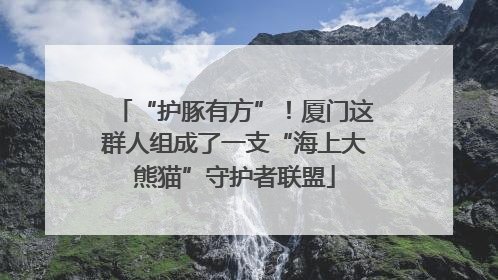 “护豚有方”！厦门这群人组成了一支“海上大熊猫”守护者联盟