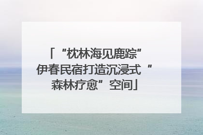 “枕林海见鹿踪” 伊春民宿打造沉浸式“森林疗愈”空间