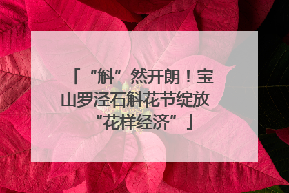“斛”然开朗！宝山罗泾石斛花节绽放“花样经济”