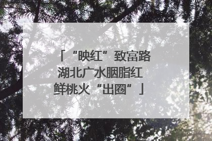 “映红”致富路 湖北广水胭脂红鲜桃火“出圈”