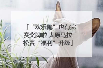 “欢乐跑”也有完赛奖牌啦 太原马拉松赛“福利”升级