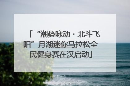 “潮势咏动・北斗飞阳”月湖迷你马拉松全民健身赛在汉启动