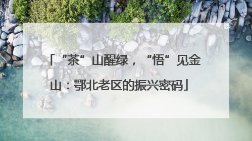 “茶”山醒绿，“悟”见金山：鄂北老区的振兴密码