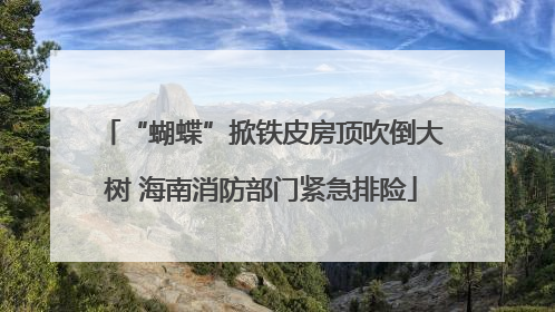 “蝴蝶”掀铁皮房顶吹倒大树 海南消防部门紧急排险
