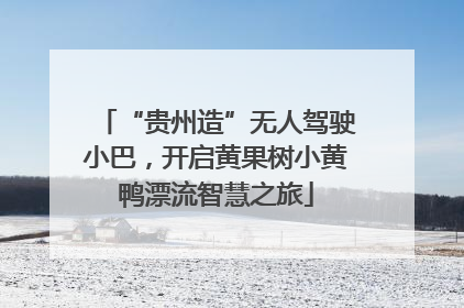 “贵州造”无人驾驶小巴，开启黄果树小黄鸭漂流智慧之旅