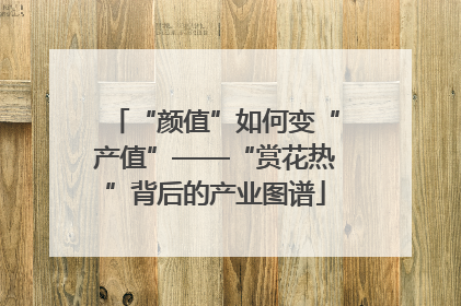 “颜值”如何变“产值”——“赏花热”背后的产业图谱